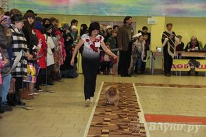 Всероссийская выставка собак в Великих Луках (фото)