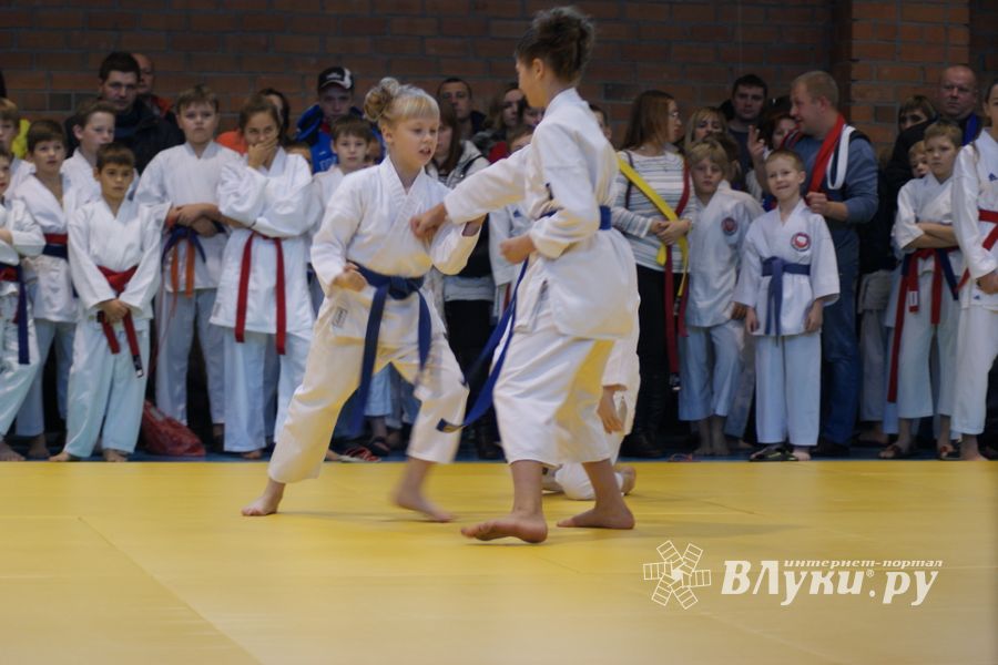 В Великих Луках прошли соревнования по каратэ (ФОТО)