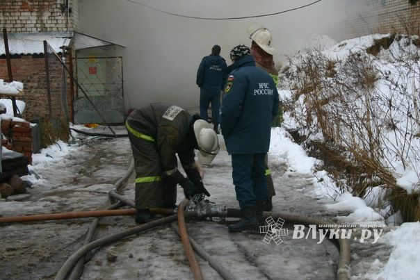 Неисправная печь в приюте для животных спровоцировала пожар
