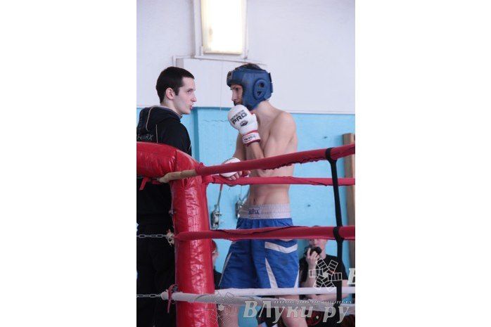 Чемпионат Псковской области по ММА