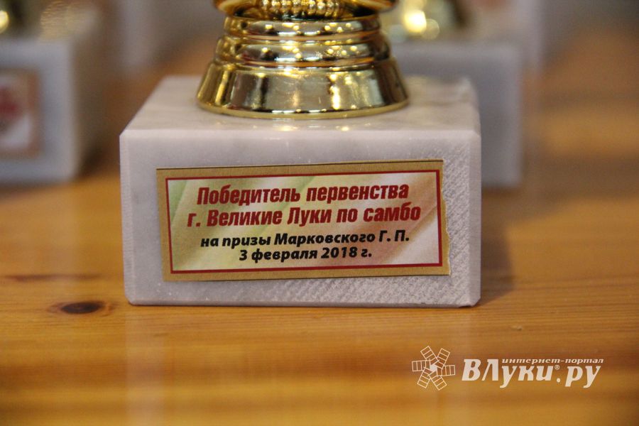 Церемония награждения открытого первенства города по самбо на призы мастера спорта СССР Марковского Геннадия Петровича (ФОТО)