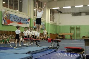 В Великих Луках состоялось Первенство по командной гимнастике (фото)