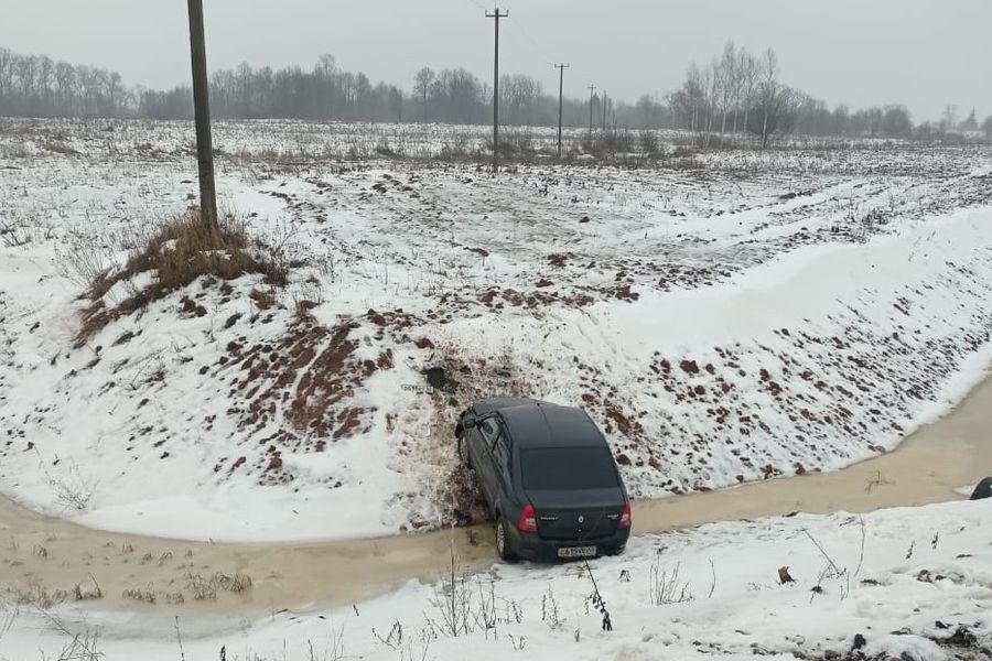 В ДТП в Великолукском районе пострадал мужчина (ФОТО)