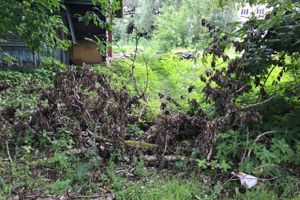 Грозы добавляют неухоженности Великим Лукам (ФОТО)