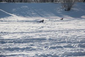 В Великих Луках реконструировали подвиг Александра Матросова (12+)(ФОТО)