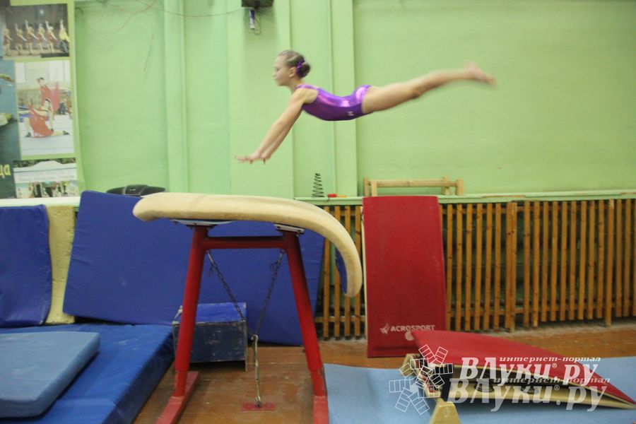 В Великих Луках состоялось Первенство города по спортивной гимнастике (фото)