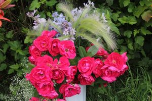 «Парад детских колясок» в День семьи, любви и верности (ФОТО)