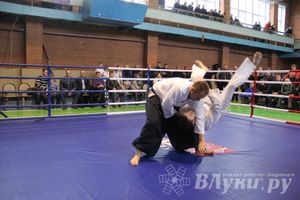В Великих Луках прошел межрегиональный Открытый Кубок по смешанному боевому единоборству (фото)
