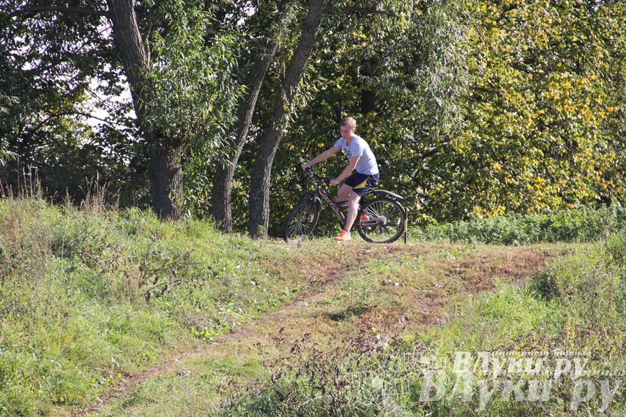 «Кубок первокурсника 2014» 