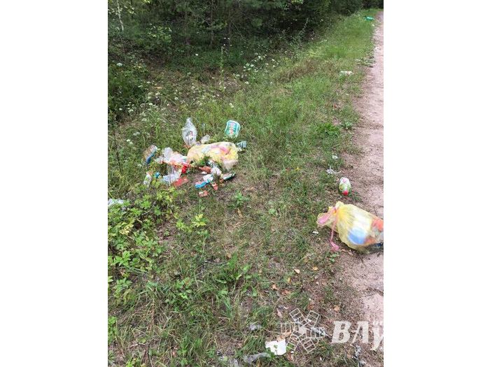 Особенности национальной дороги (ФОТО)