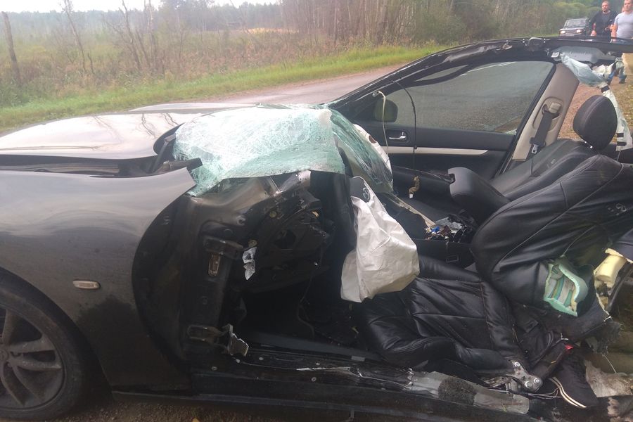 На трассе Великие Луки-Невель произошло ДТП (ФОТО)