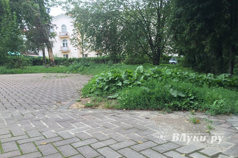 Обратная сторона центра Великих Лук (ФОТО)