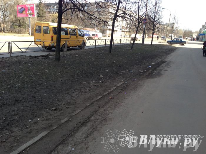 Весне дорогу!