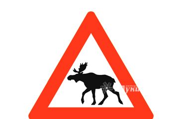 Лось стал причиной смерти двух человек