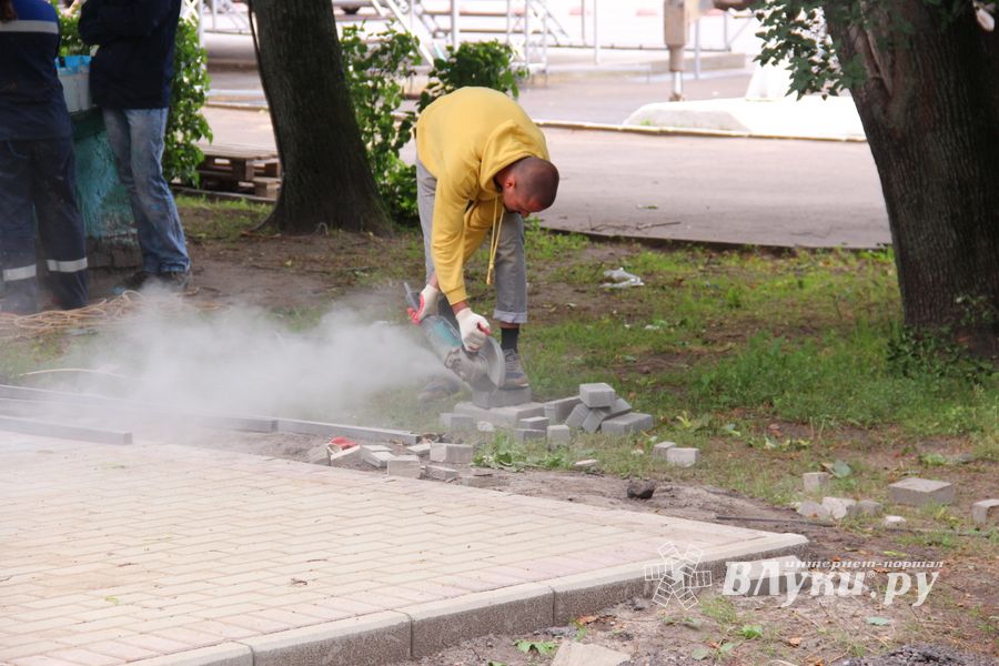 В Великих Луках сажают, стригут и красят (ФОТО)