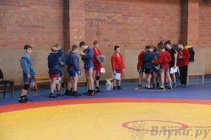 состоялось Открытое первенство города Великие Луки по борьбе самбо