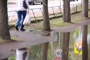 Мечта великолучан: по городу в чистой обуви (ФОТО)