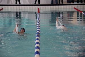 В «Айсберге» прошло Первенство города по плаванию (ФОТО)