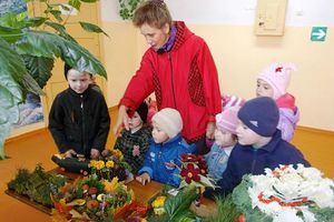  Осенний праздник «День Урожая» прошел в д. Борки (фото)