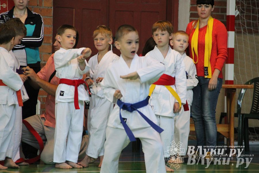 Великолучане стали победителями турнира по каратэ «Неприкосновенный запас, дети — Отчизны 2015» (фото)