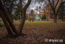 Прогноз погоды в Великих Луках на 15 октября