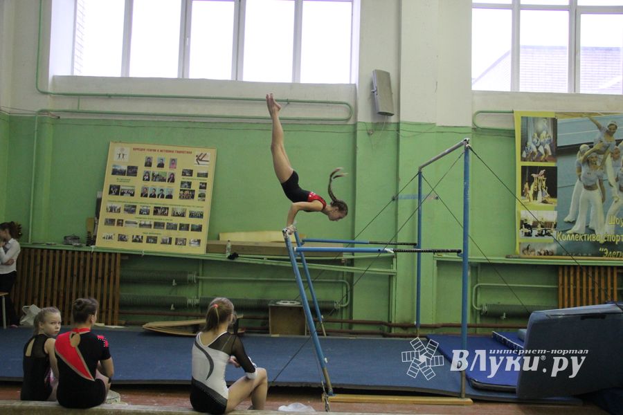 В Великих Луках прошло Первенство города по спортивной гимнастике (фото)