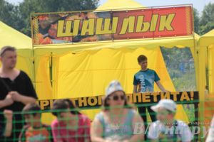 IV Фестиваль авиамодельного спорта России в классе радиоуправляемых моделей