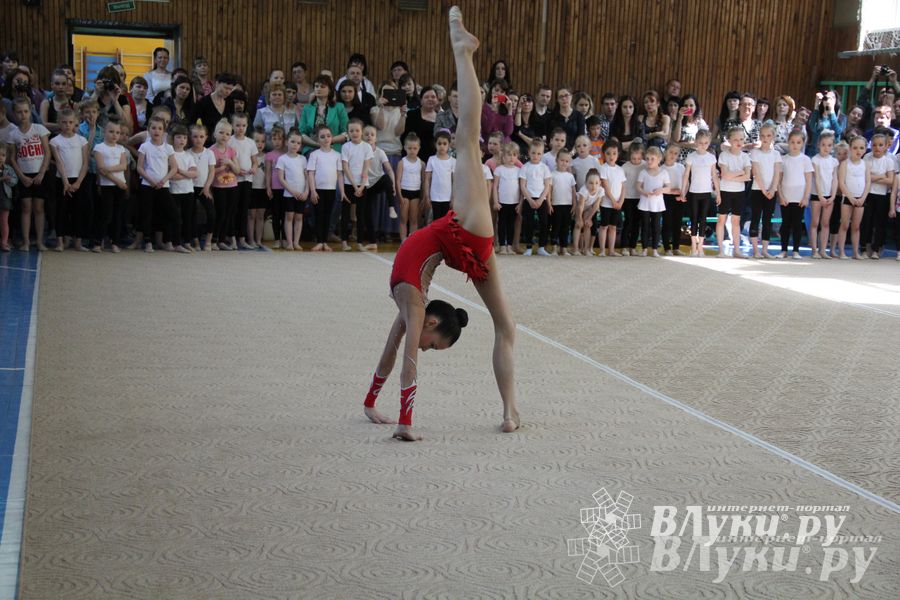 В Великих Луках прошло Первенство по художественной гимнастике (фото)