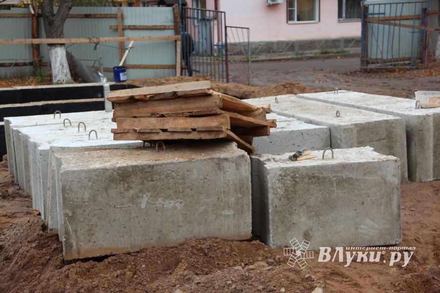 В скором времени нерадивых великолучан станет проще изолировать (ФОТО)