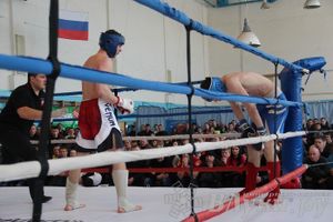 Чемпионат Псковской области по ММА