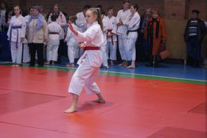 В Великих Луках прошли соревнования по каратэ (ФОТО)