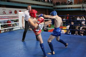 В Великих Луках прошли соревнования по кикбоксингу (ФОТО)