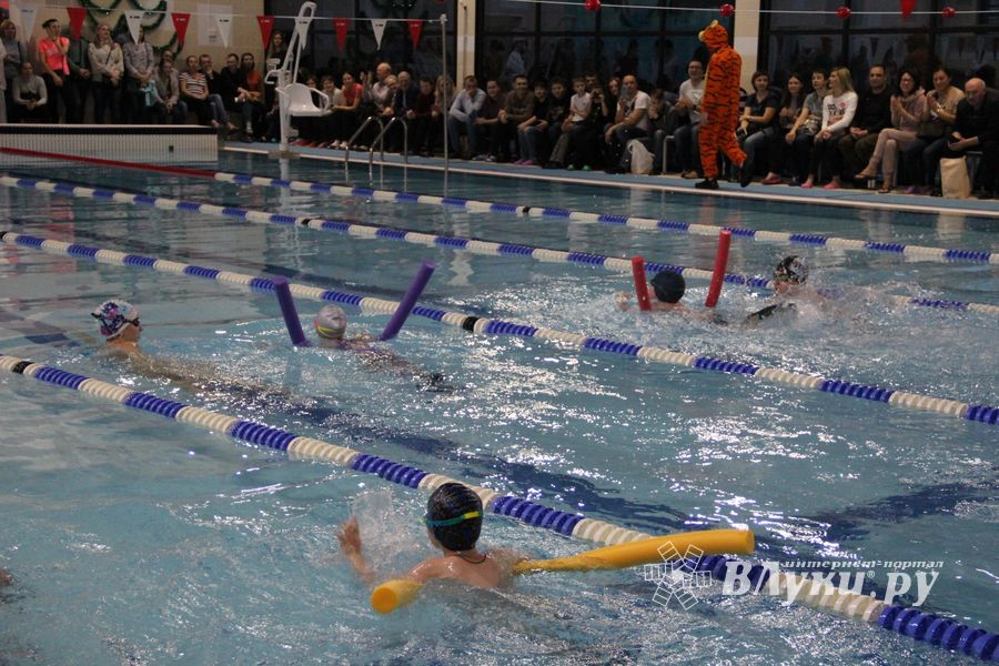 Соревнования по плаванию на призы Деда Мороза прошли в Великих Луках (ФОТО)