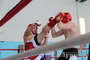 Чемпионат Псковской области по ММА