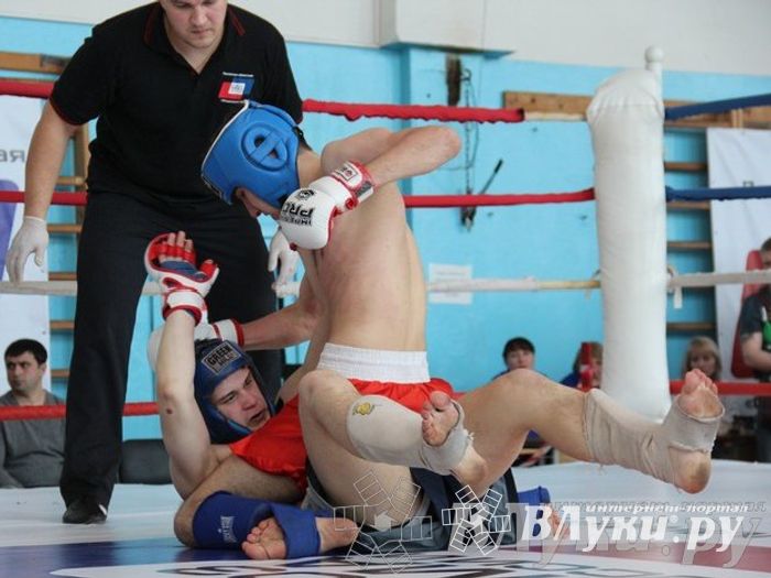 Чемпионат Псковской области по ММА