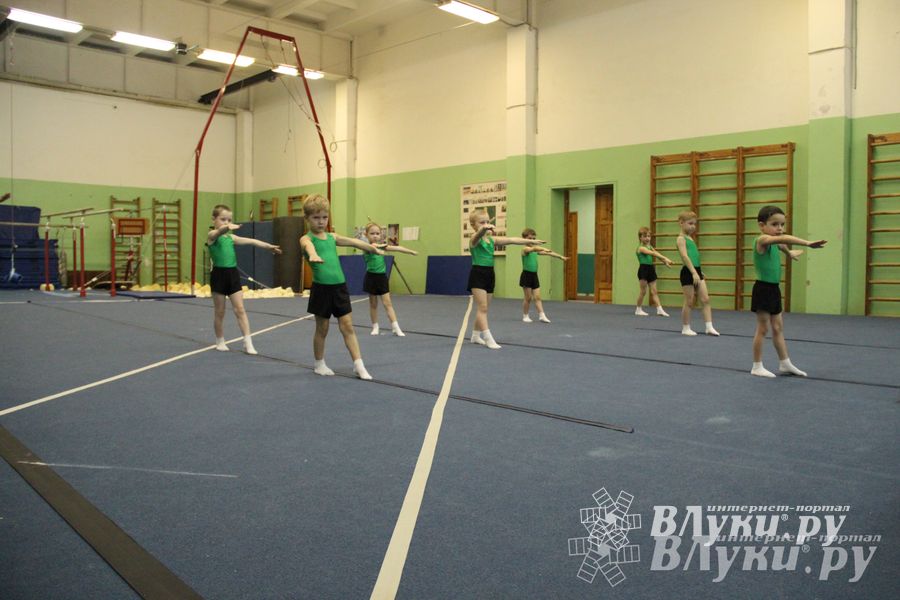 В Великих Луках состоялось Первенство по командной гимнастике (фото)