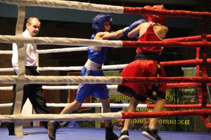 В Великих Луках проходят соревнования по боксу памяти Е.А. Клевцова (фоторепортаж)
