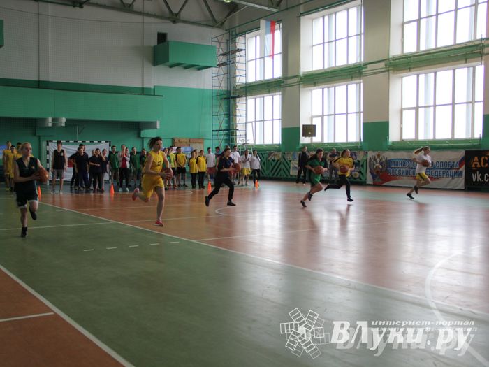 В Великих Луках прошли соревнования на Кубок Красного Креста