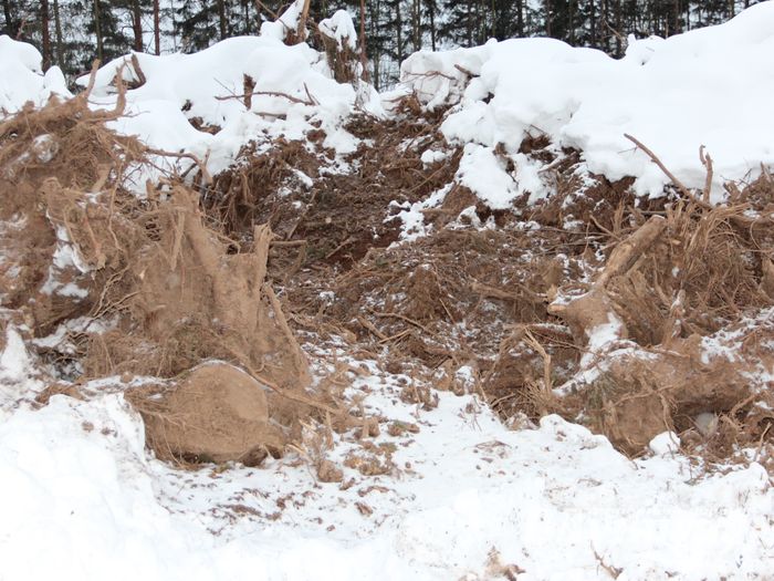 В Великих Луках ведется строительство центра по подготовке велосипедистов (ФОТО)