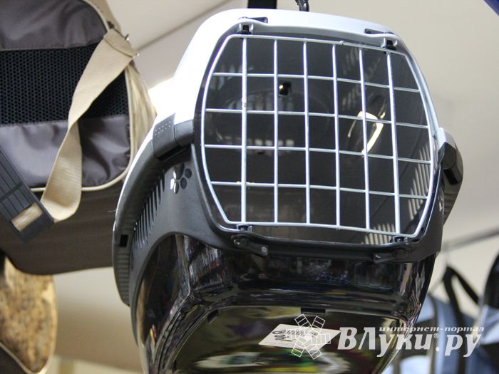 «Zooбастики»: подарите праздник своим любимцам! (ФОТО+ВИДЕО)