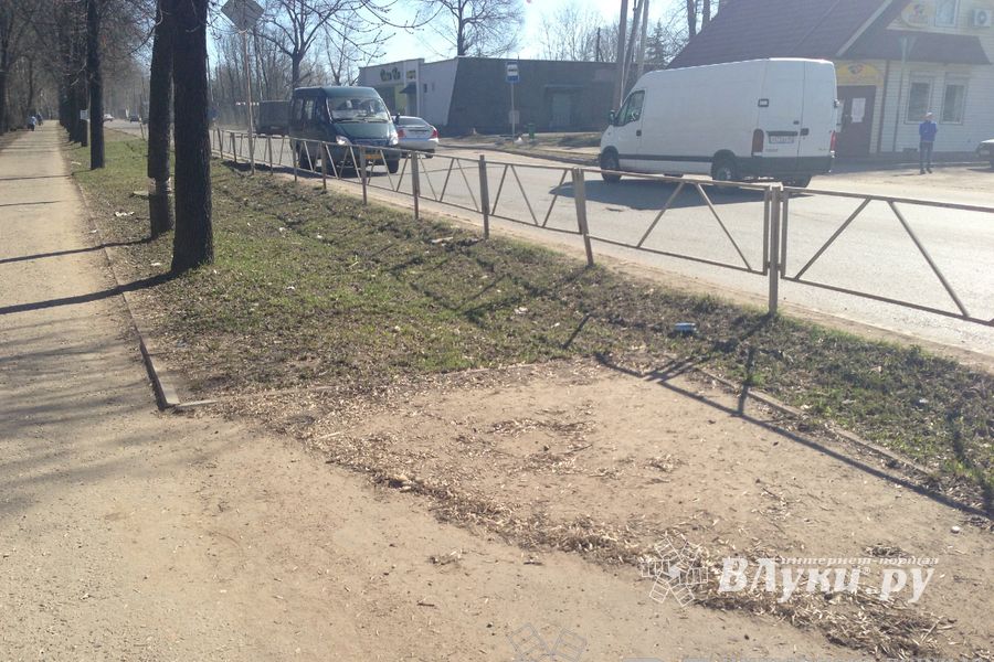 Весне дорогу!