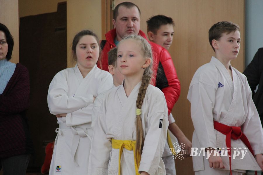 В Великих Луках прошел  турнир по Шотокан каратэ