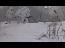 Импульс-ТВ: Празднование 70-летия освобождения города