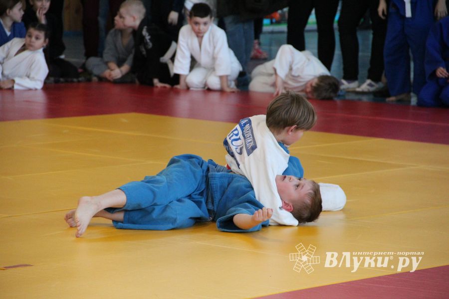 Фестиваль боевых искусств прошел в Великих Луках (ФОТО)