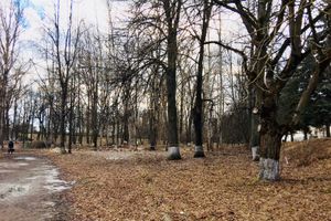 Парк культуры и отдыха готовится к реконструкции (ФОТО)