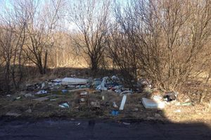 «Великие Луки — большая свалка» (ФОТО)