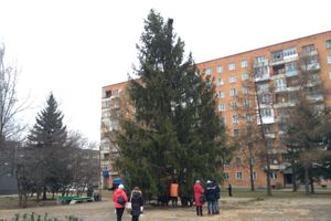 В Великих Луках установили вторую городскую ёлку (ФОТО)