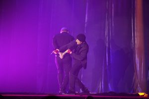 Состоялся концерт братьев Сафроновых «Империя иллюзий» (фото)