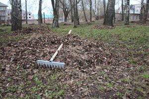 Городские СМИ провели субботник (ФОТО)