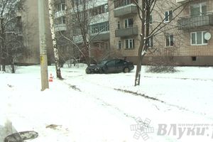 В Великих Луках водитель Фольксвагена врезался в дерево и выехал на тротуар (ФОТО)